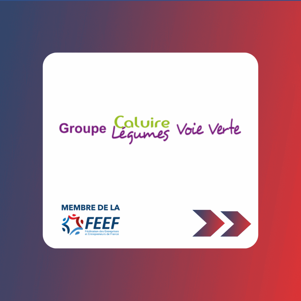 Carrousel linkedin feef 2025 (14)