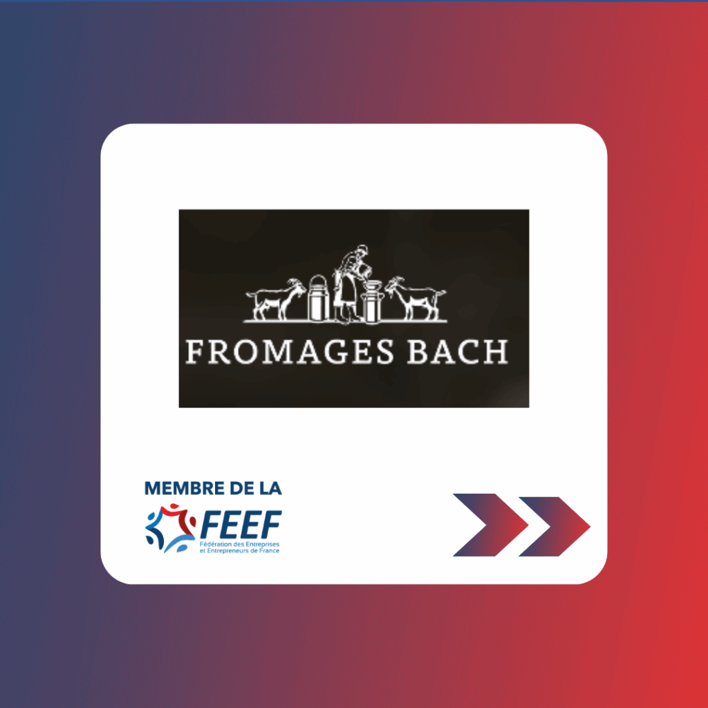 Carrousel linkedin feef 2025 (16)