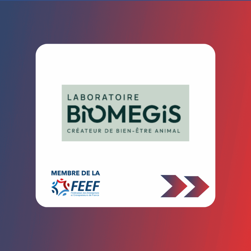 Carrousel linkedin feef 2025 (22)