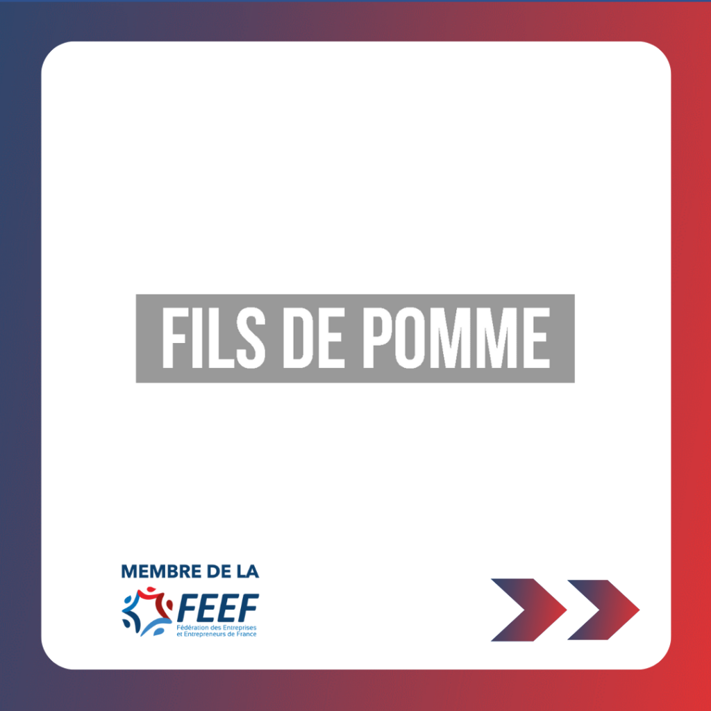 Carrousel linkedin feef (29)