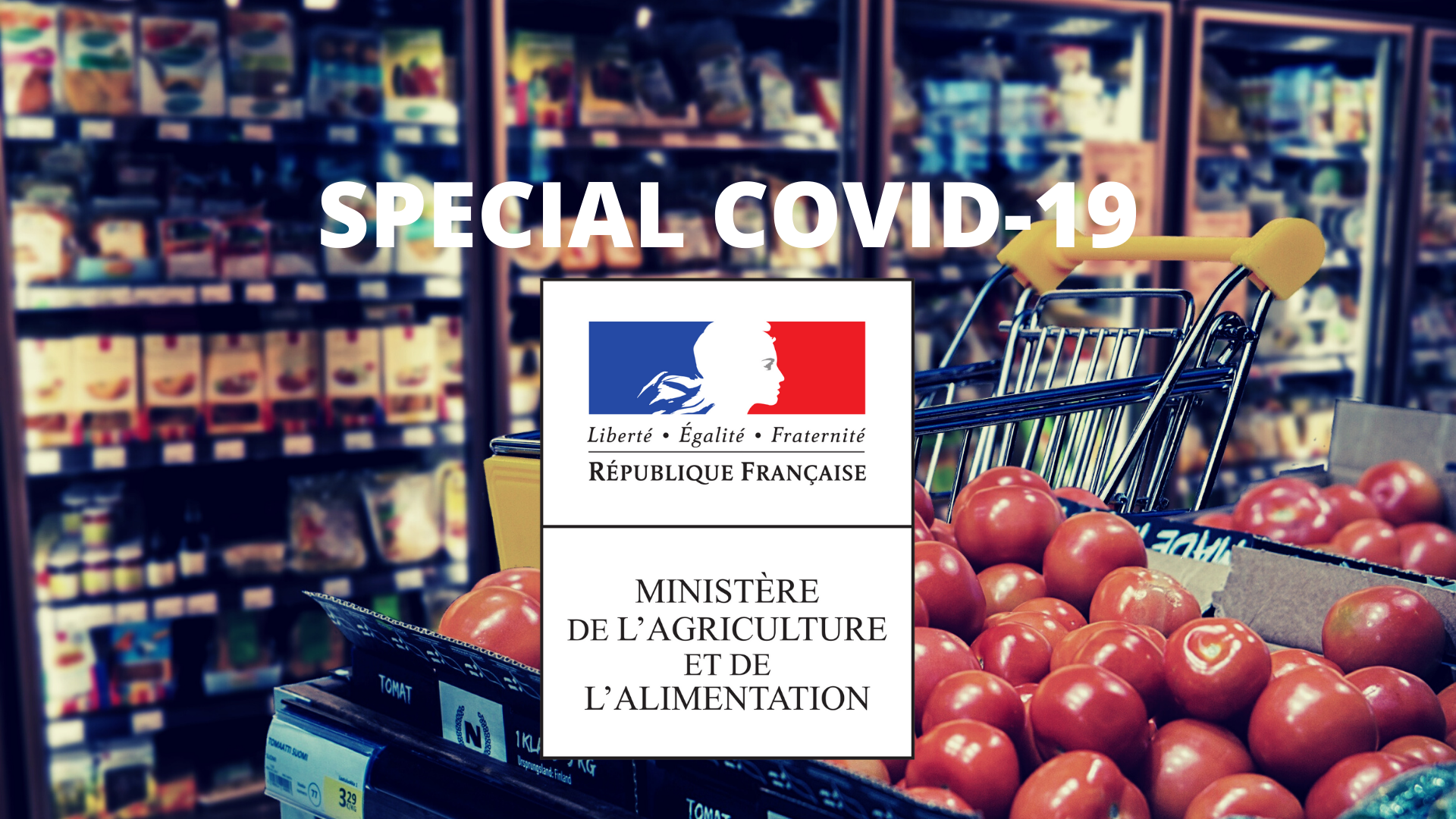 L’approvisionnement alimentaire