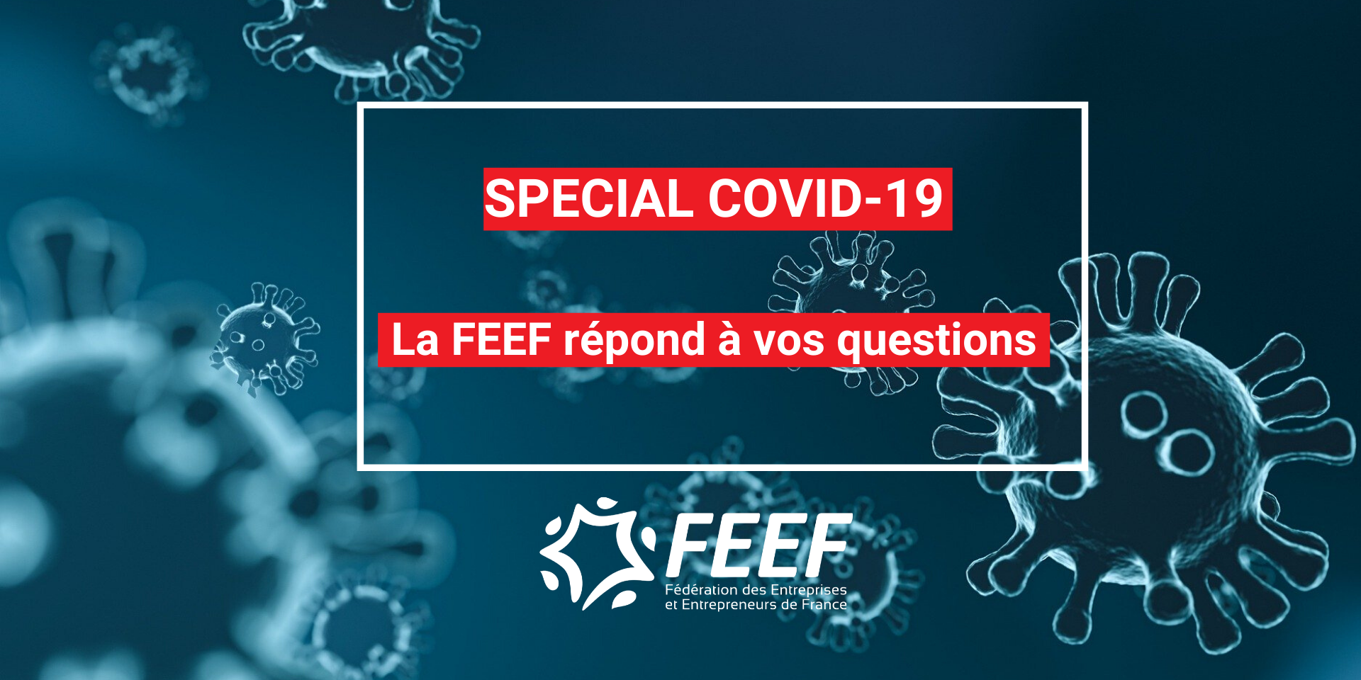 Covid19 : La FEEF crée une plateforme d&rsquo;échanges pour ses adhérents