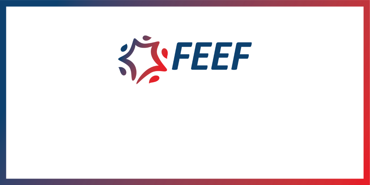 Le renforcement de la FEEF dans son éco-système